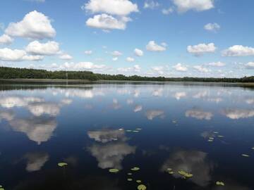 Фото Дома для отпуска Усадьба У Константина г. Bogdanovo 1